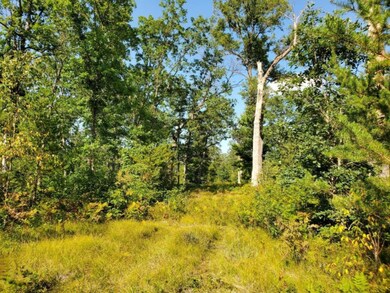 0 S Peacock Trail, Baldwin, MI 49304 - photo 5