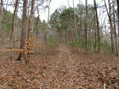 0 Mayberry Prong Rd unit 2105945, Linden, TN 37096 - photo 5