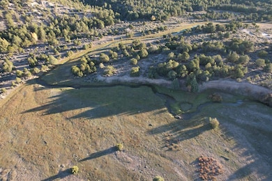 0 State Road 341 unit 202505052, Petaca, NM 87554 - photo 3