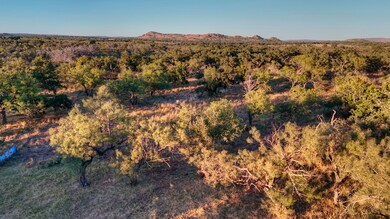 18248 Bode Peak Rd, Pontotoc, TX 76856 - photo 5