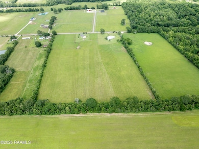 DJI_0181