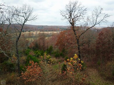 155 Riverside Dr, Mammoth Spring, AR 72554 - photo 4