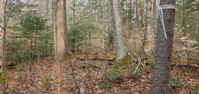 0 Under the Mountain Rd unit 1 4905343, Lyman, NH 03585 - photo 2