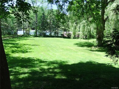 Large back yard.