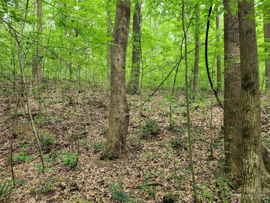 599 Shiloh Rd, Statesville, NC 28677 - photo 3