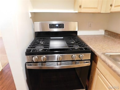 6910 Colonial Woods Dr unit 97, Saint Louis, MO 63129 - photo 7