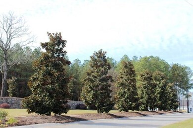 1229 Yost Dr, Appling, GA 30802 - photo 3