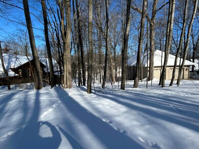 11490 Alpine Rd unit 43, Canadian Lakes, MI 49346 - photo 5