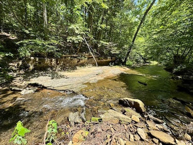 75.33 acres Rose Trail, Melbourne, AR 72556 - photo 2