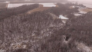 0 500th St, Sioux Rapids, IA 50585 - photo 4