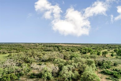 View of tree filled area