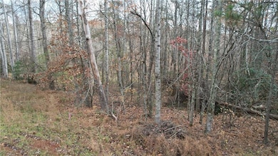 0000 Blackburn Tract 3a Rd, Dawsonville, GA 30534 - photo 6