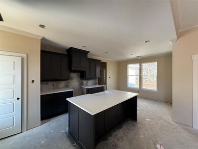 628 Ross Ln, Boyd, TX 76023 - photo 7