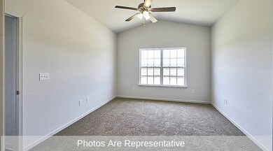Cal_Gray_Cabinets (6)