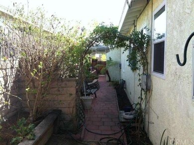 Side view for possible dog run or vegetable garden