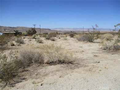 6888 Peterson Rd, Twentynine Palms, CA 92277 - photo 3