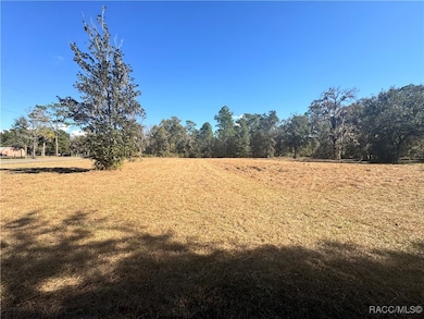 10278 W Belfast St, Crystal River, FL 34428 - photo 2