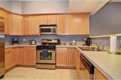 111 N Larch Ave unit 301, Elmhurst, IL 60126 - photo 3
