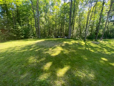 Back yard pic 2