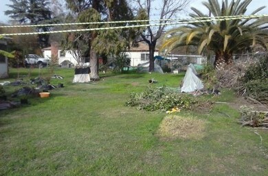 Backyard of the house...