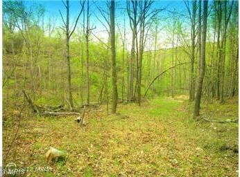 175 S Branch Mountain Rd, Moorefield, WV 26836 - photo 6