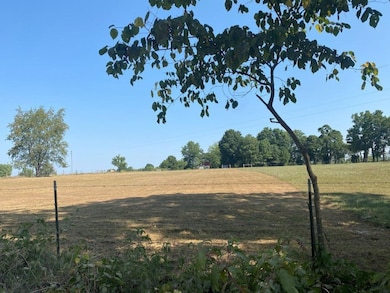 16422 Tract 3 Patton Rd, Pea Ridge, AR 72751 - photo 3