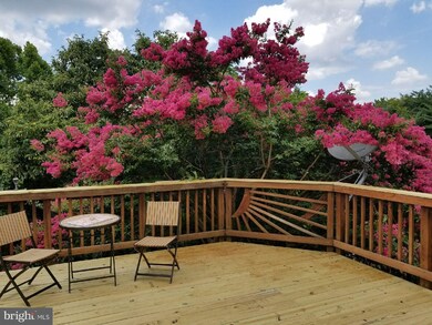 7347 Saint Thomas Loop, Manassas, VA 20109 - photo 2