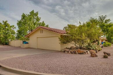 Sahuaro-005