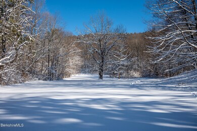Meadow