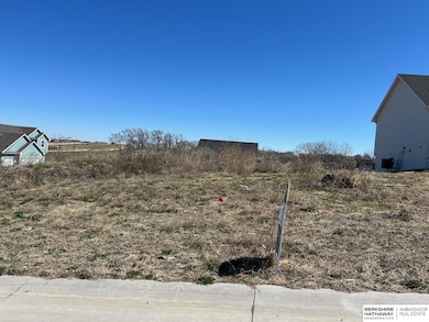 8227 N 167th Ave, Bennington, NE 68007 - photo 2