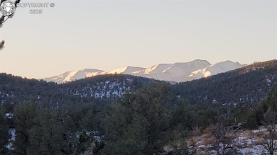 675 Black Gulch Rd, Cotopaxi, CO 81223 - photo 5