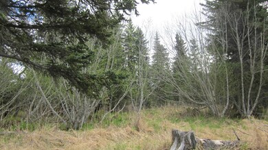 Good Frontage Road Acreage with Trees