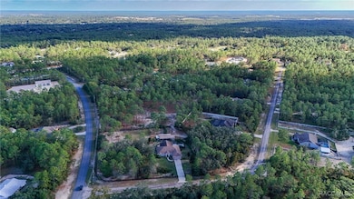 4256 N Amarillo Dr, Beverly Hills, FL 34465 - photo 7