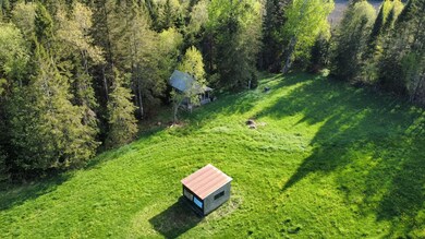 Cleared Land Around Camp