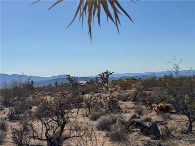 View of mountain backdrop with neighbors in the distance.