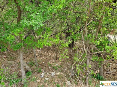 13172 Harbor Dr, Temple, TX 76502 - photo 6