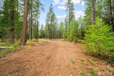 0 S Shugart Flats Rd, Leavenworth, WA 98826 - photo 4