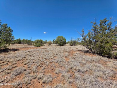 1804 N Frances Ln, Williams, AZ 86046 - photo 5