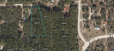0 Seameadows Dr unit A4509741, Perry, FL 32348 - photo 2