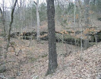 0 Ria Ln unit 699123, Eureka Springs, AR 72631 - photo 4