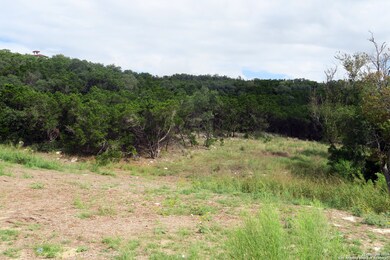 20810 Purple Finch, San Antonio, TX 78256 - photo 6