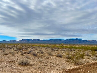 2100 S Lone Ranger Rd, Yucca, AZ 86438 - photo 5