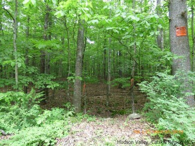 2022 Berme Rd, Kerhonkson, NY 12446 - photo 4