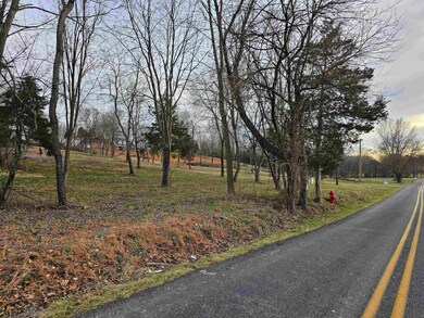 10 CROWN RDIGE Berry Farm Rd, Staunton, VA - photo 5