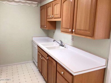 17210 N 105th Ave, Sun City, AZ 85373 - photo 3