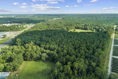 00 U S 49, Hattiesburg, MS 39401 - photo 4