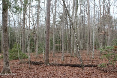 3411 Pickett Park Hwy, Jamestown, TN 38556 - photo 5