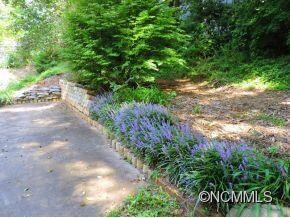 Perennials