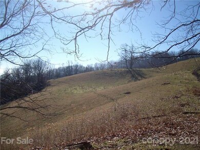 Lots of room for livestock pasture.
