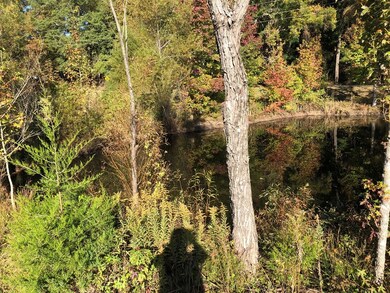 unlisted-address, Oxford, MS 38655 - photo 7